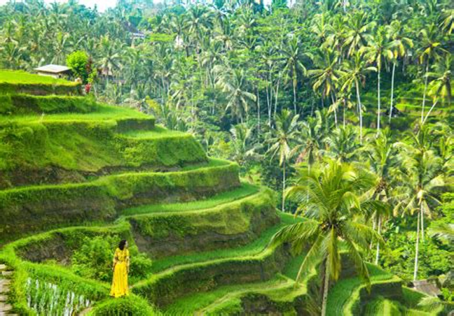 Bali with UBUD