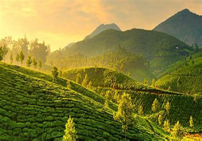 Best Of Kerala Honeymoon Tour