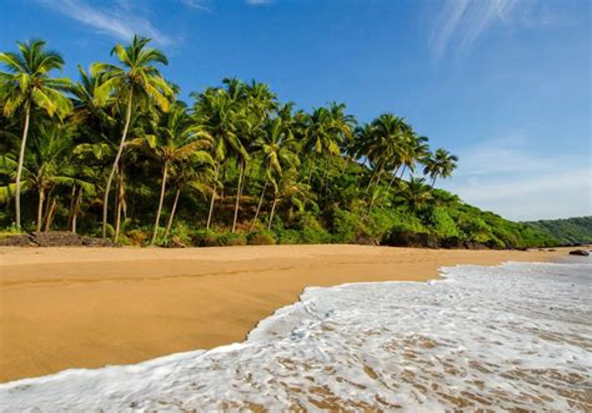 Golden Triangle With Goa Tour