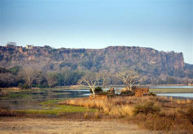 Golden Triangle With Ranthambore