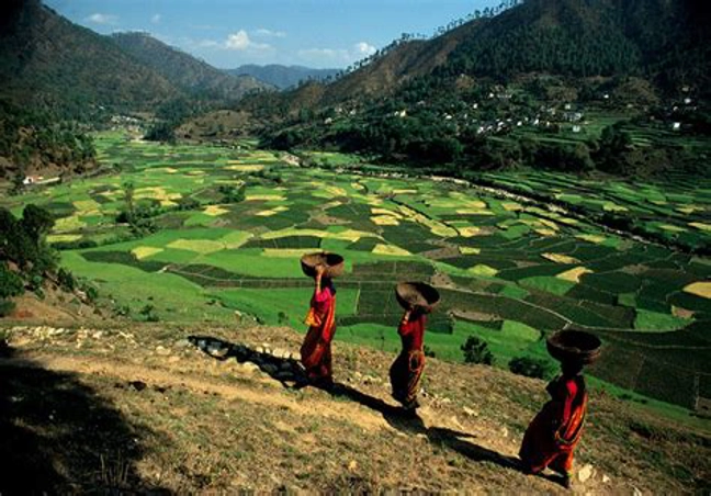 Mountain Magic In Kausani