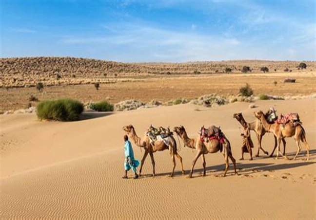 Rajasthan Adventure Tour