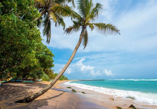 Sri Lanka Tour Package