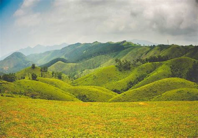 Vagamon Honeymoon Tour