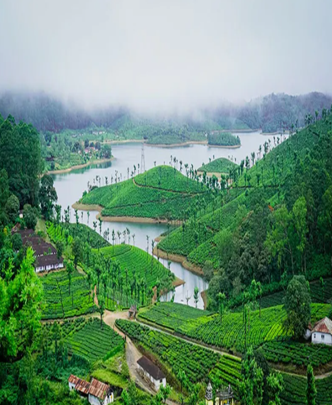 tamil-nadu