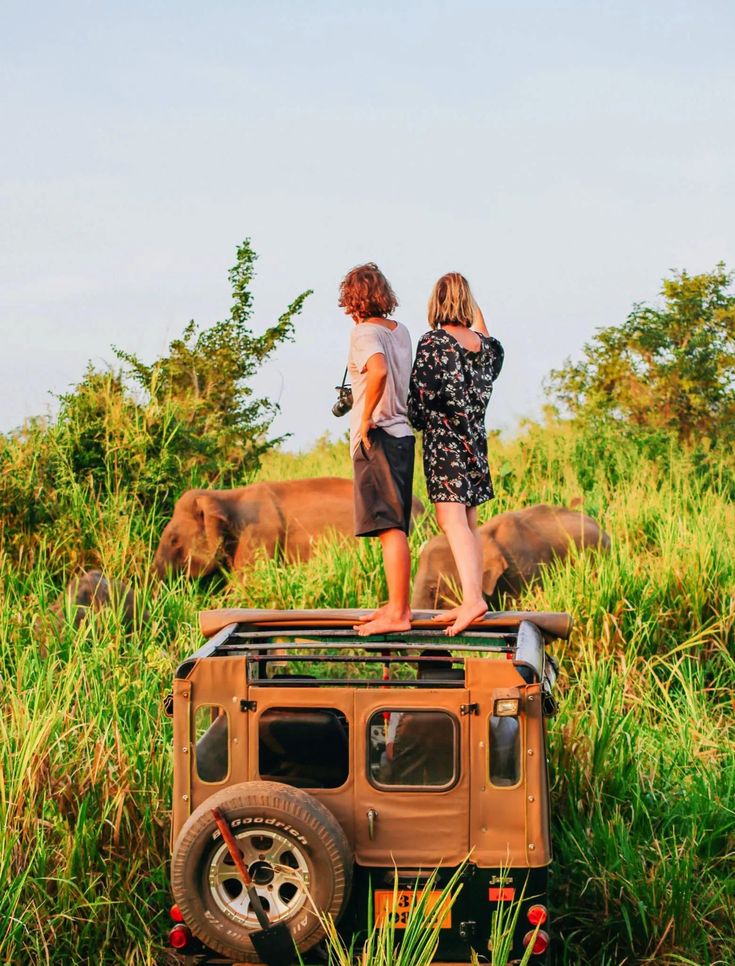 Srilanka Attractions