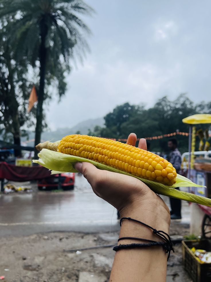 Mount Abu