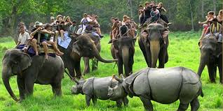 Kaziranga National Park