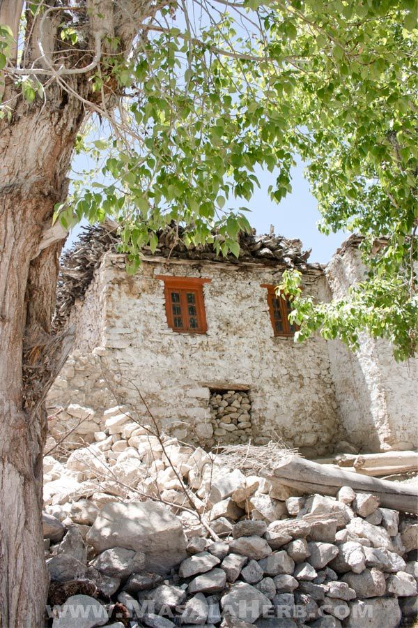 Nako village