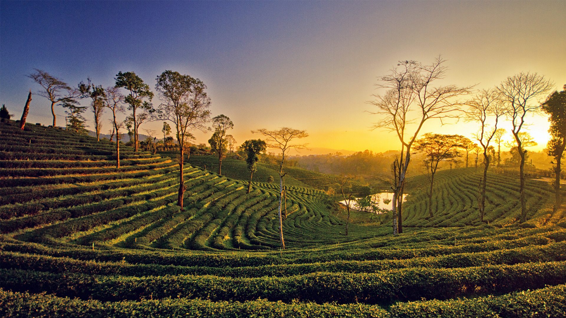 Assam