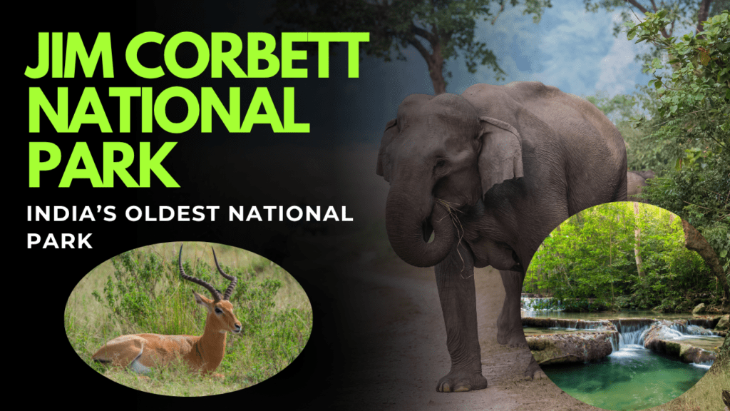 Jim Corbett National Park